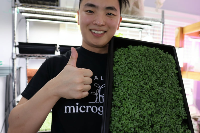David, the founder of the company, holding a tray of microgreens plant with 'Quality Microgreens' branding, giving a thumbs-up.